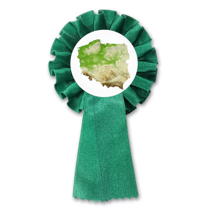 przypinka kotylion Polska