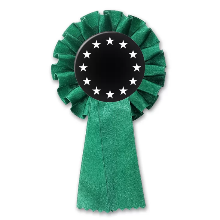 przypinka kotylion Unia Europejska czb