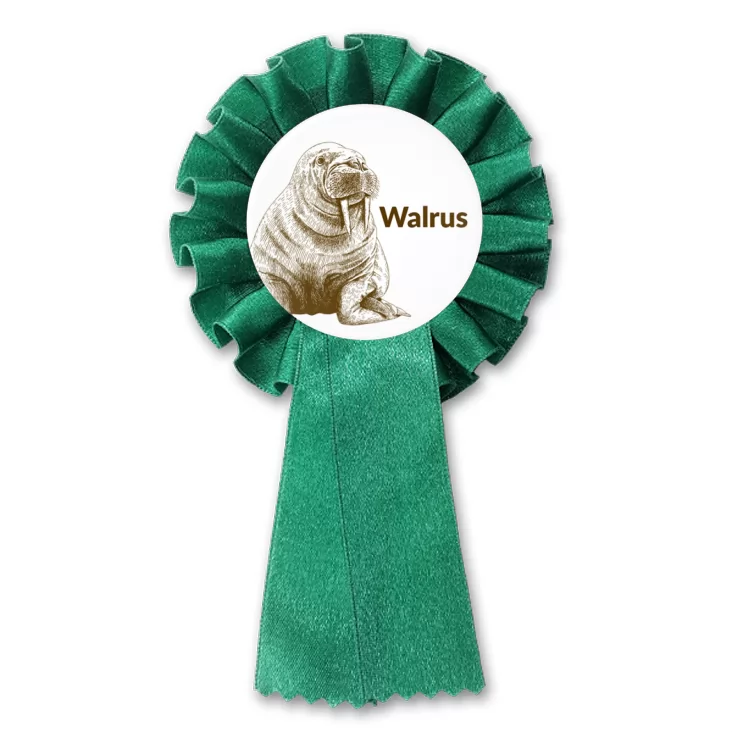 przypinka kotylion Walrus