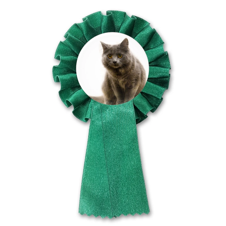 przypinka kotylion Kot