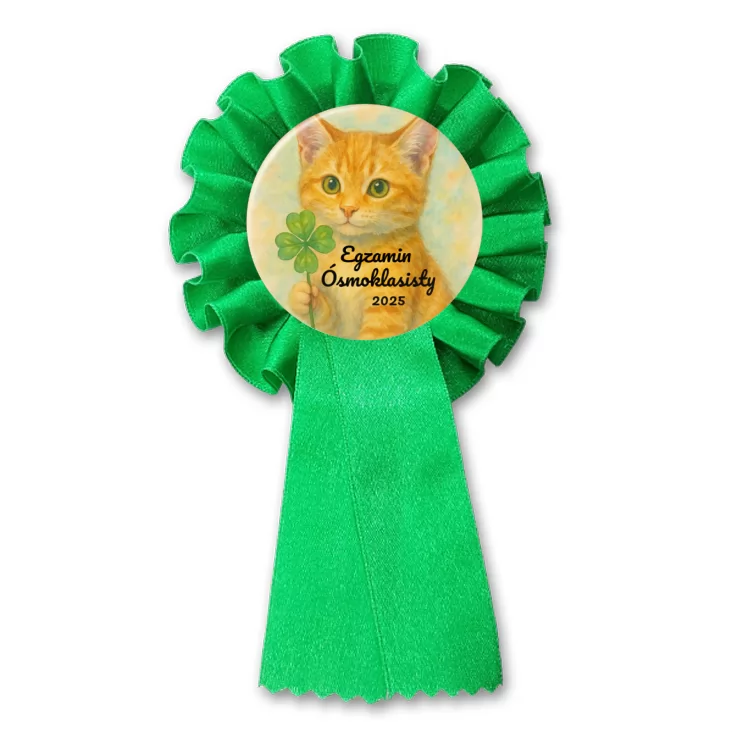 przypinka kotylion Egzamin ósmoklasisty z rudym kotem