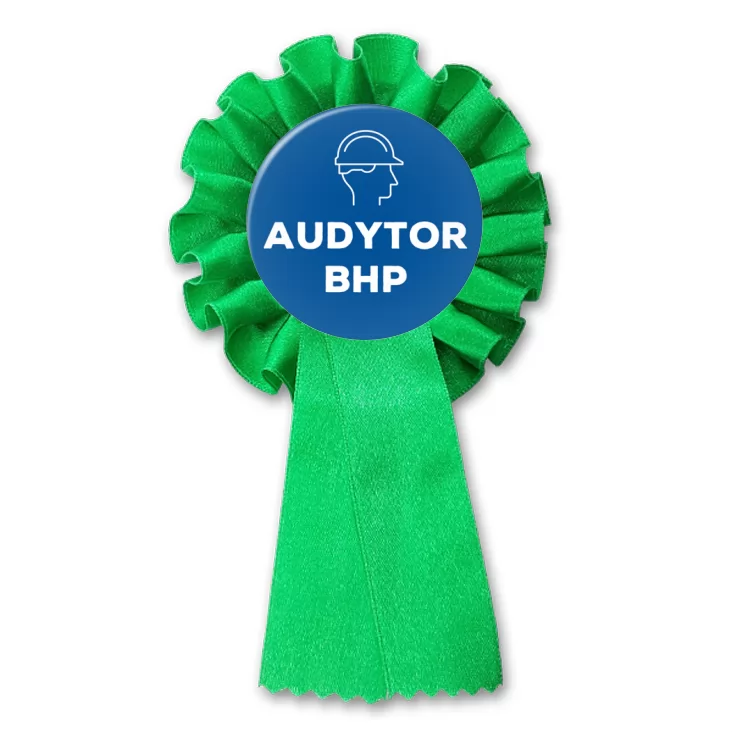 przypinka kotylion Audytor BHP