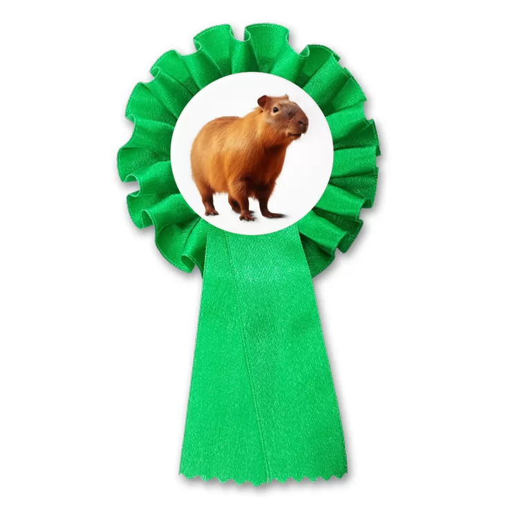 przypinka kotylion Kapibara na białym tle