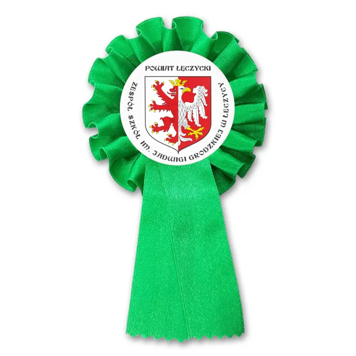 przypinka kotylion Zespół Szkół w Łęczycy
