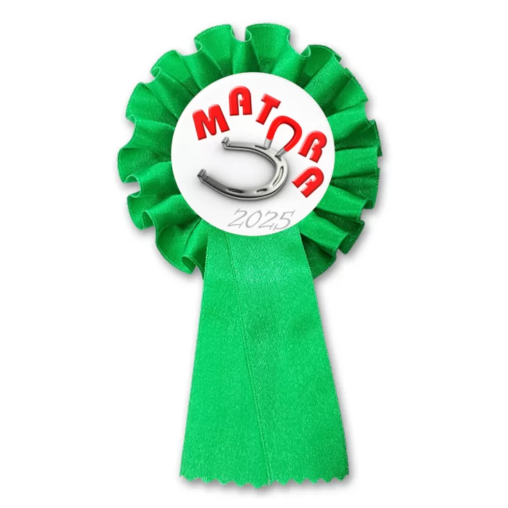 przypinka kotylion Matura podkowa na szczęście