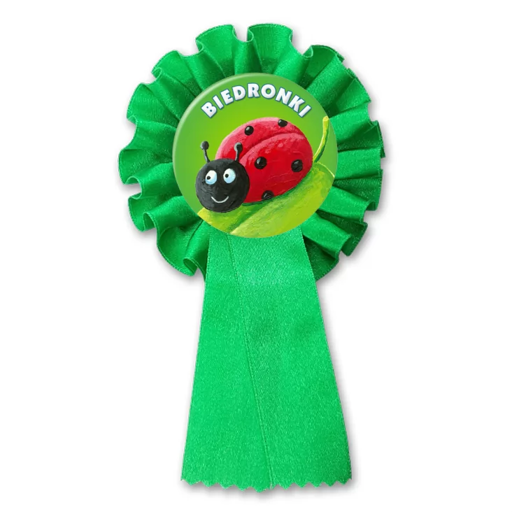 przypinka kotylion Biedronki