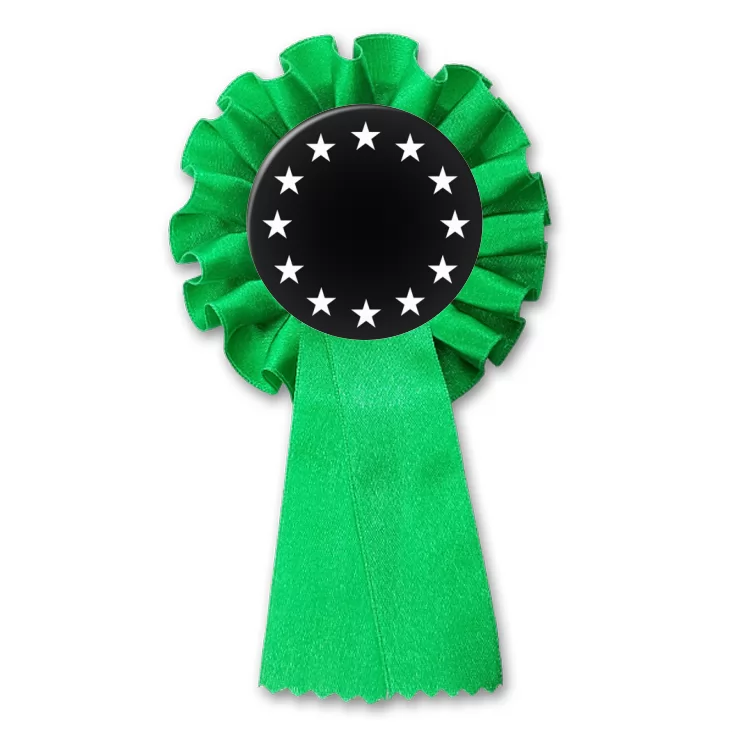 przypinka kotylion Unia Europejska czb