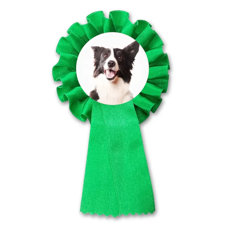 przypinka kotylion Pies Bordercollie