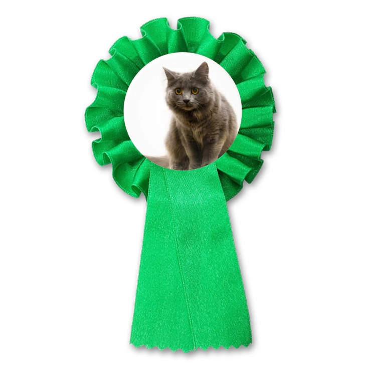 przypinka kotylion Kot