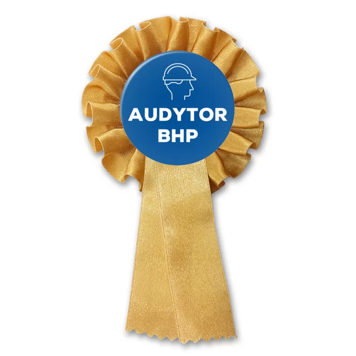 przypinka kotylion Audytor BHP