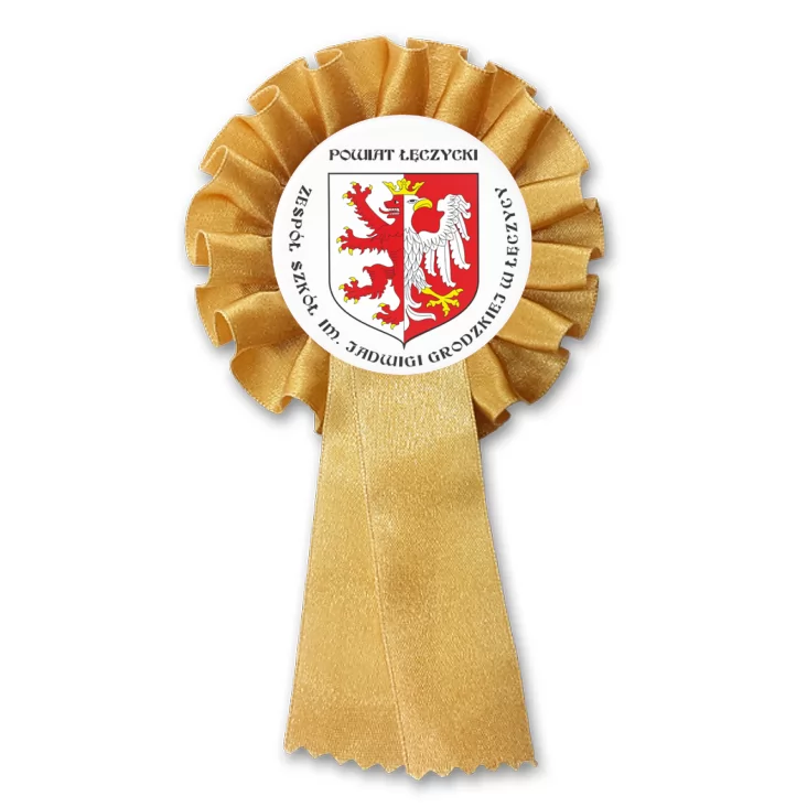 przypinka kotylion Zespół Szkół w Łęczycy