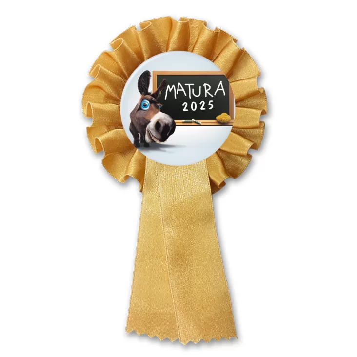 przypinka kotylion Matura osioł przy tablicy