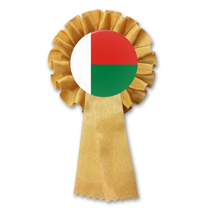 przypinka kotylion malagasy