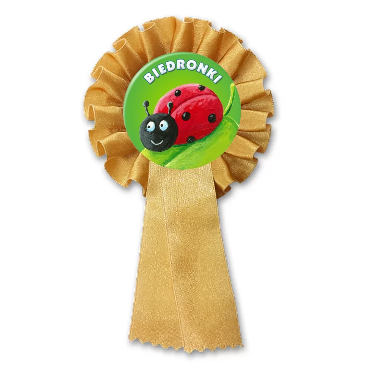 przypinka kotylion Biedronki