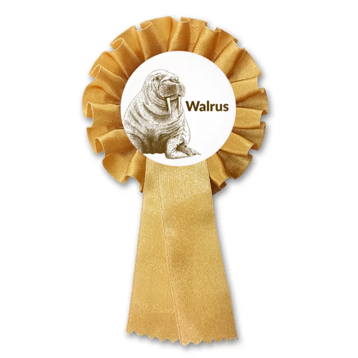 przypinka kotylion Walrus