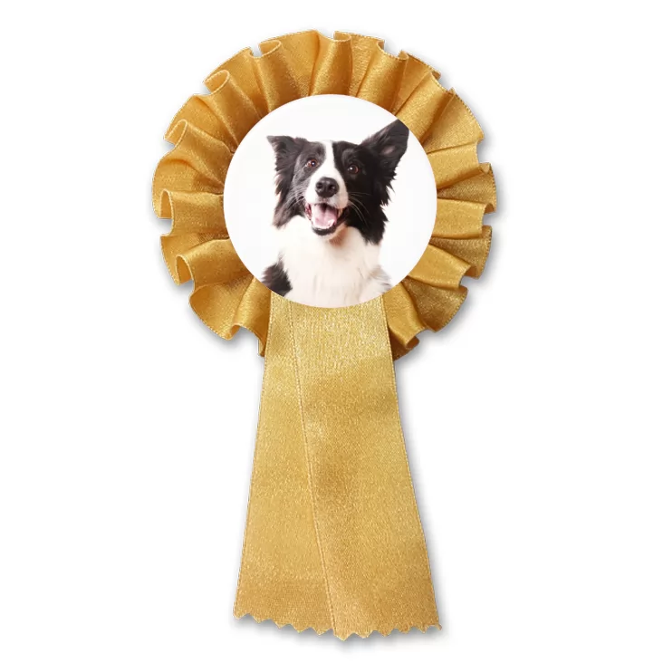 przypinka kotylion Pies Bordercollie