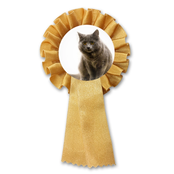 przypinka kotylion Kot