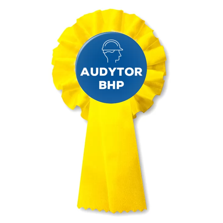 przypinka kotylion Audytor BHP