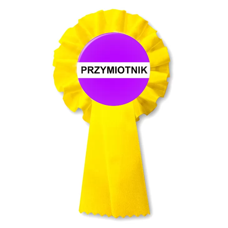 przypinka kotylion Gramatyka przymiotnik