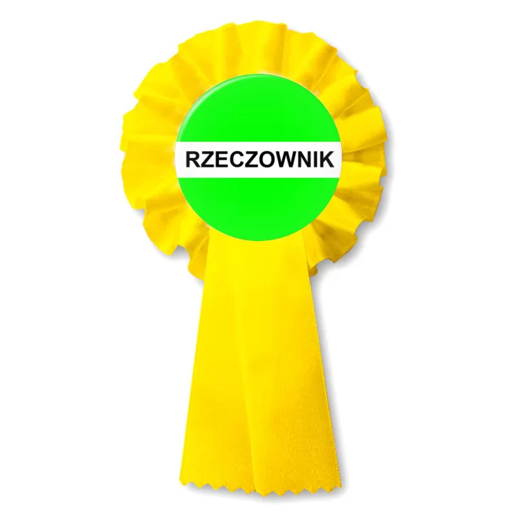 przypinka kotylion Gramatyka rzeczownik