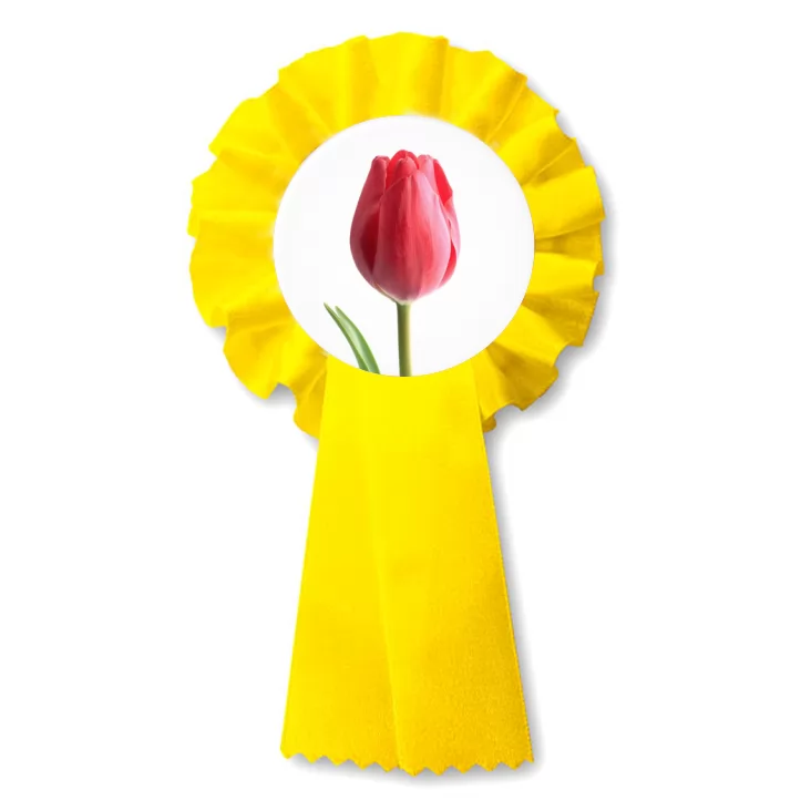przypinka kotylion Tulipan