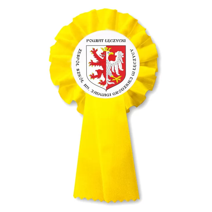 przypinka kotylion Zespół Szkół w Łęczycy