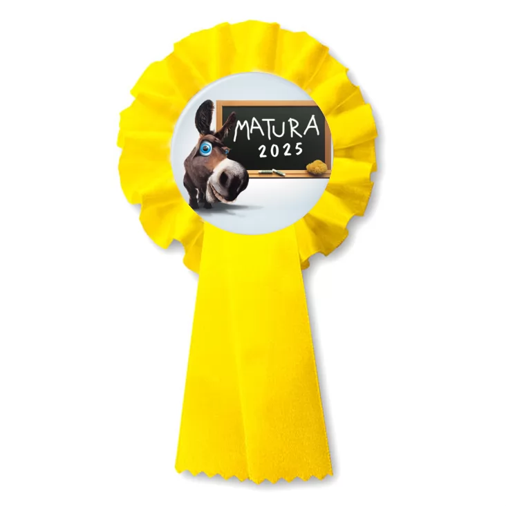 przypinka kotylion Matura osioł przy tablicy