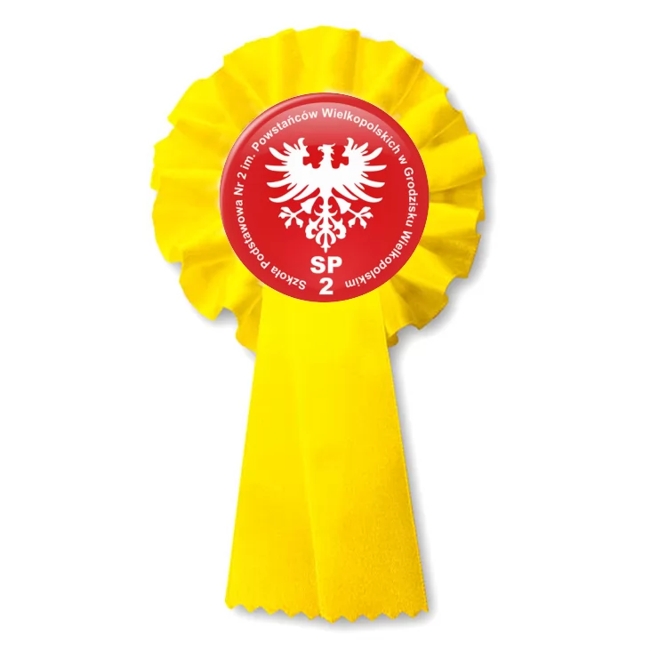 przypinka kotylion SP 2 w Grodzisku Wielkopolskim