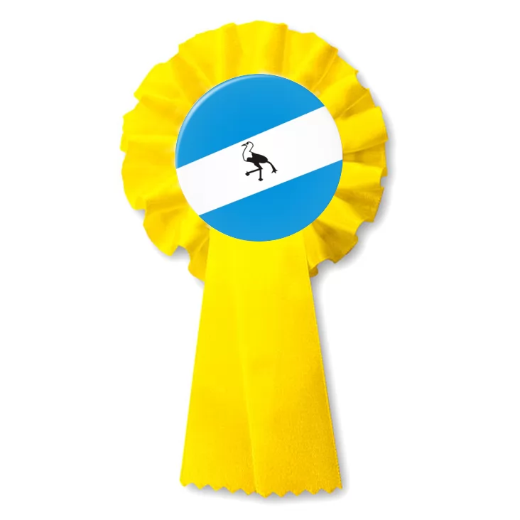 przypinka kotylion oldcski