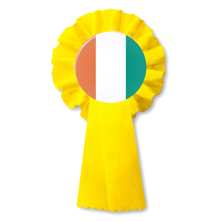 przypinka kotylion ivorycoa