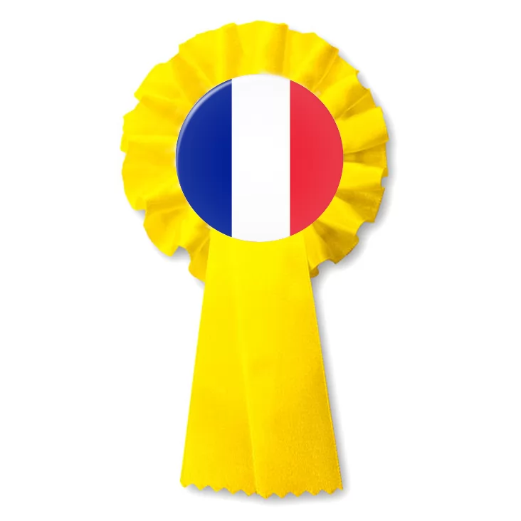 przypinka kotylion Flaga Francja