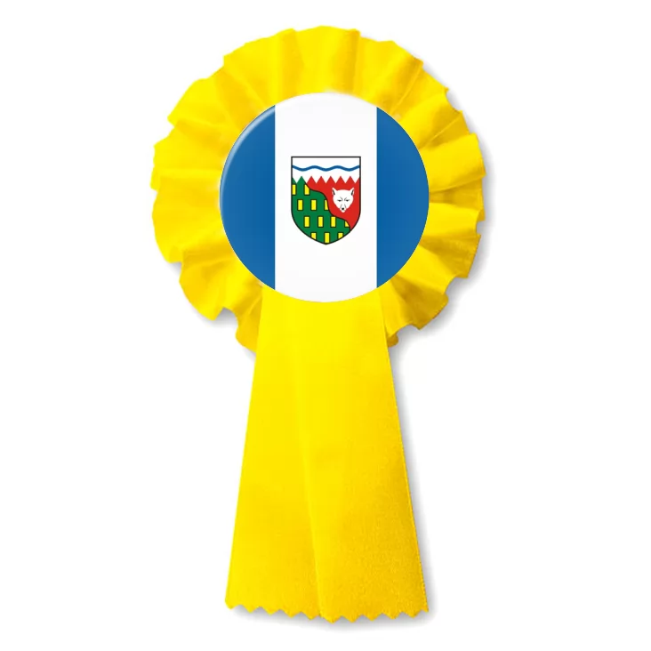 przypinka kotylion nwt