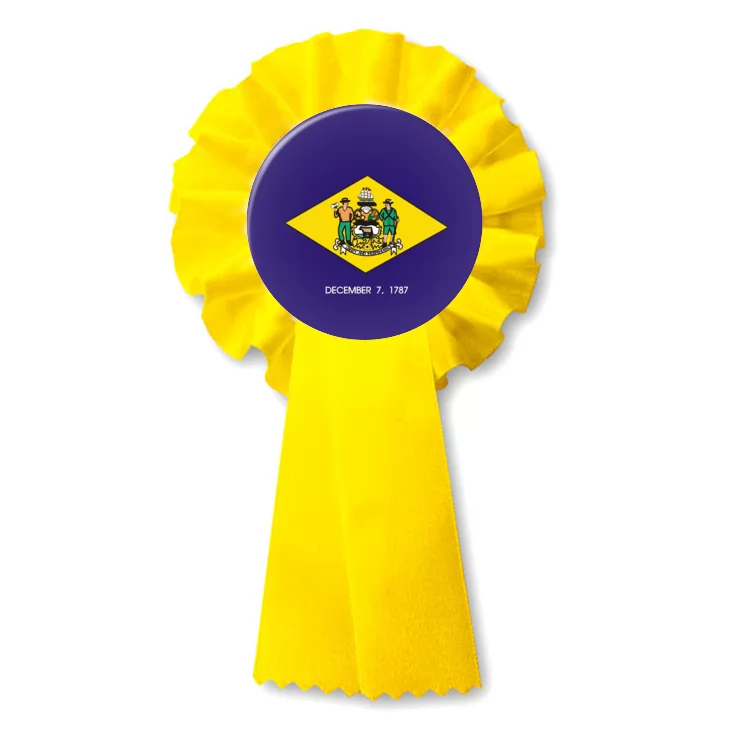 przypinka kotylion delaware