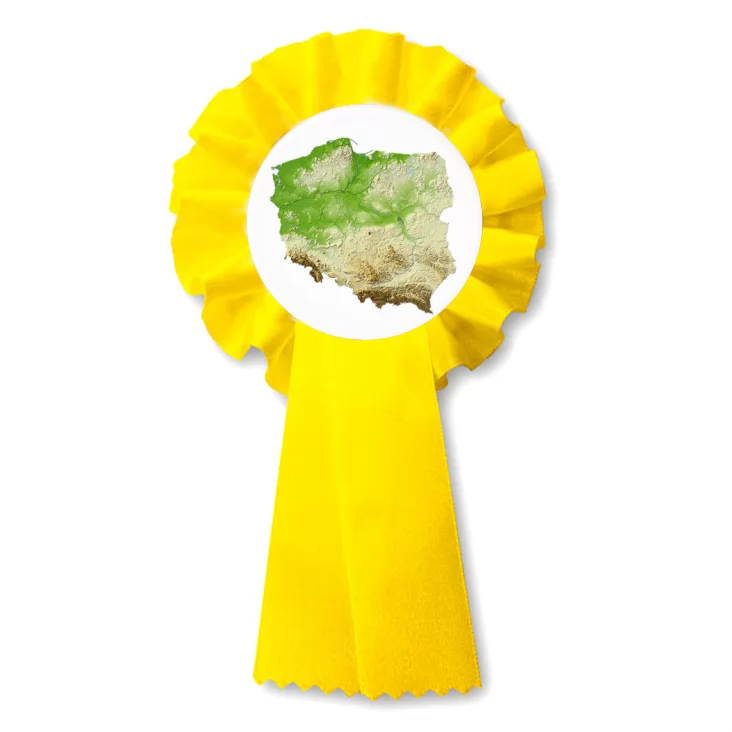 przypinka kotylion Polska