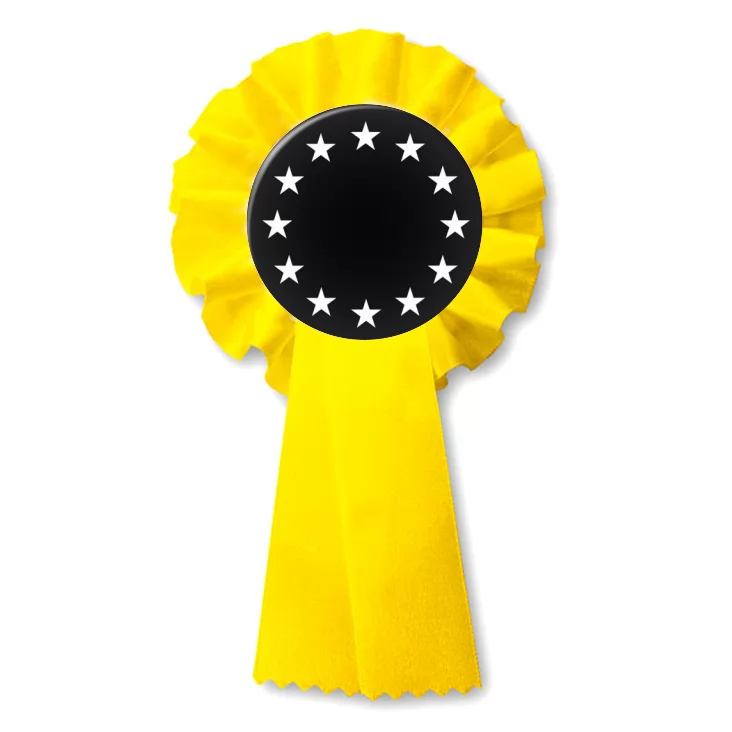 przypinka kotylion Unia Europejska czb
