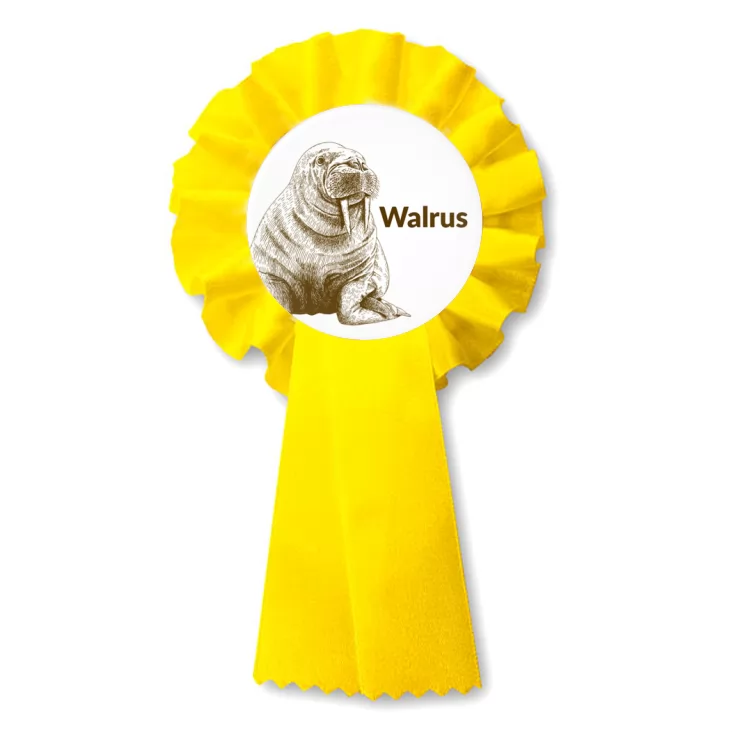 przypinka kotylion Walrus