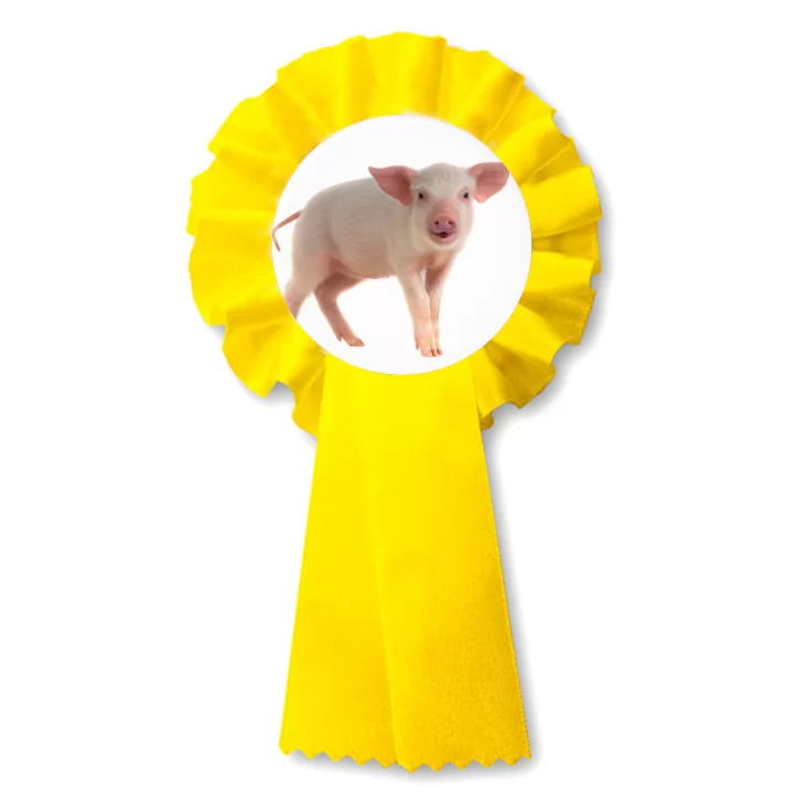 przypinka kotylion Prosiak
