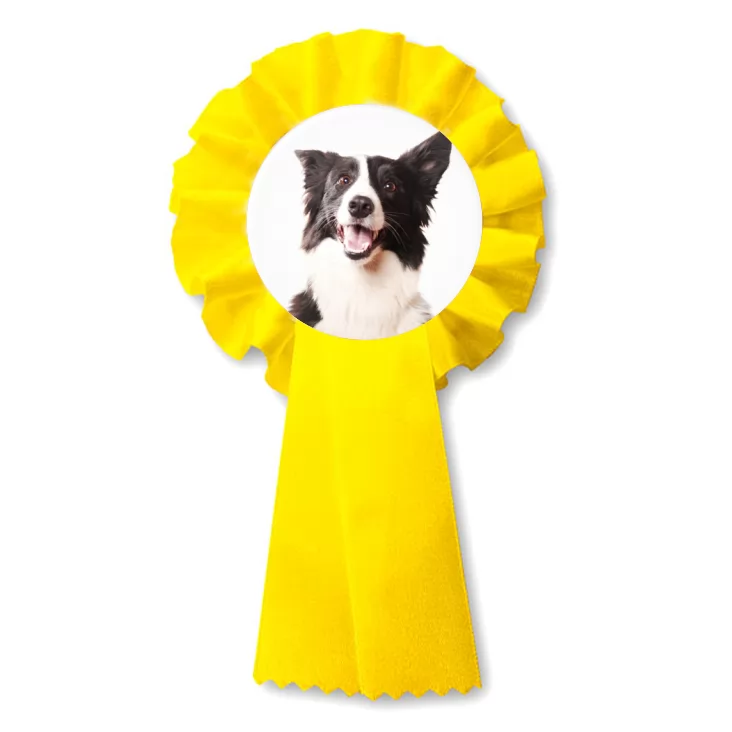 przypinka kotylion Pies Bordercollie