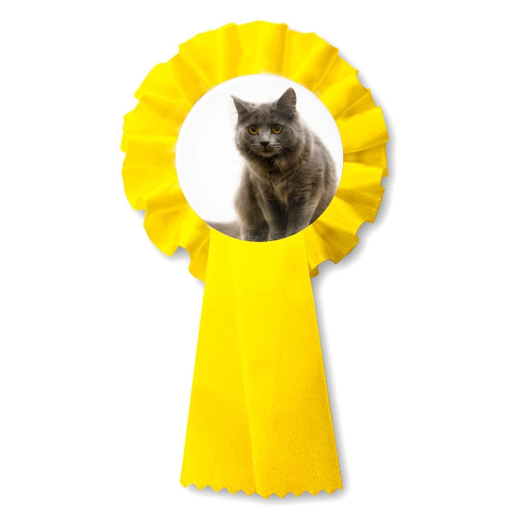 przypinka kotylion Kot