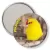 Przypinka lusterko Papugarnia Mazury Pikachu