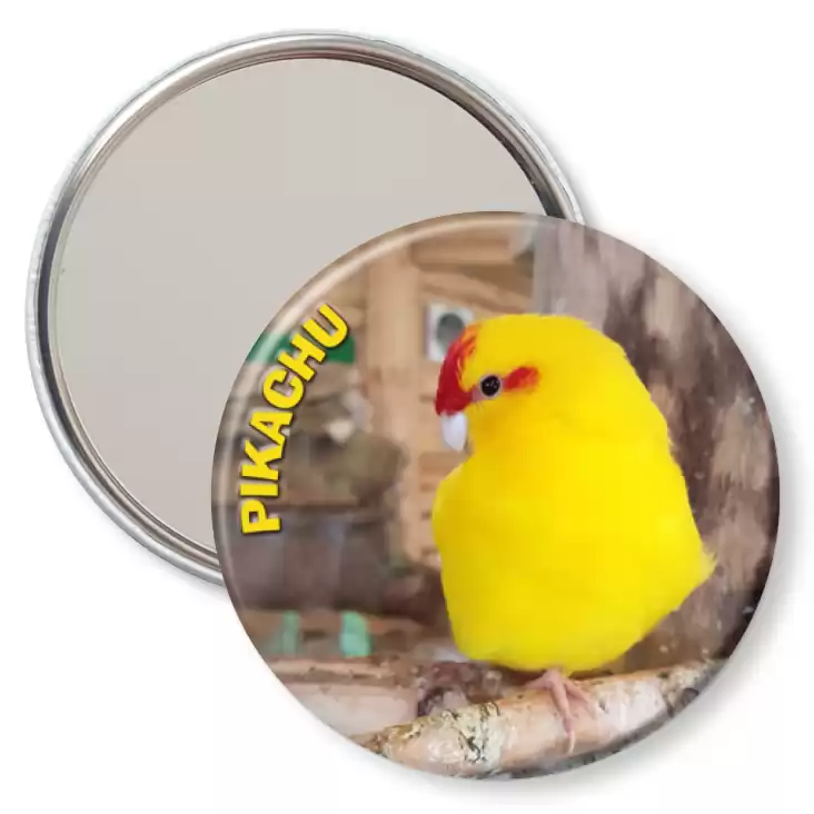 przypinka lusterko Papugarnia Mazury Pikachu