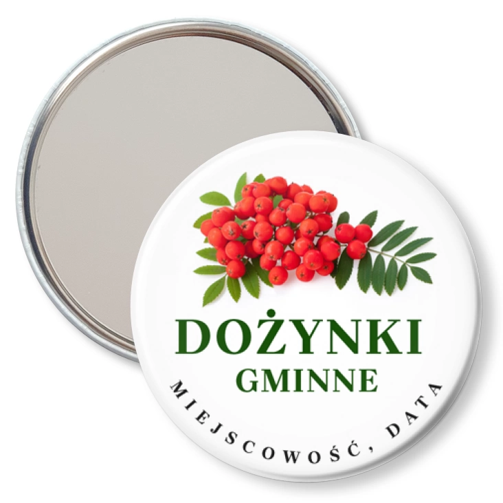 przypinka lusterko Dożynki Gminne jarzębina