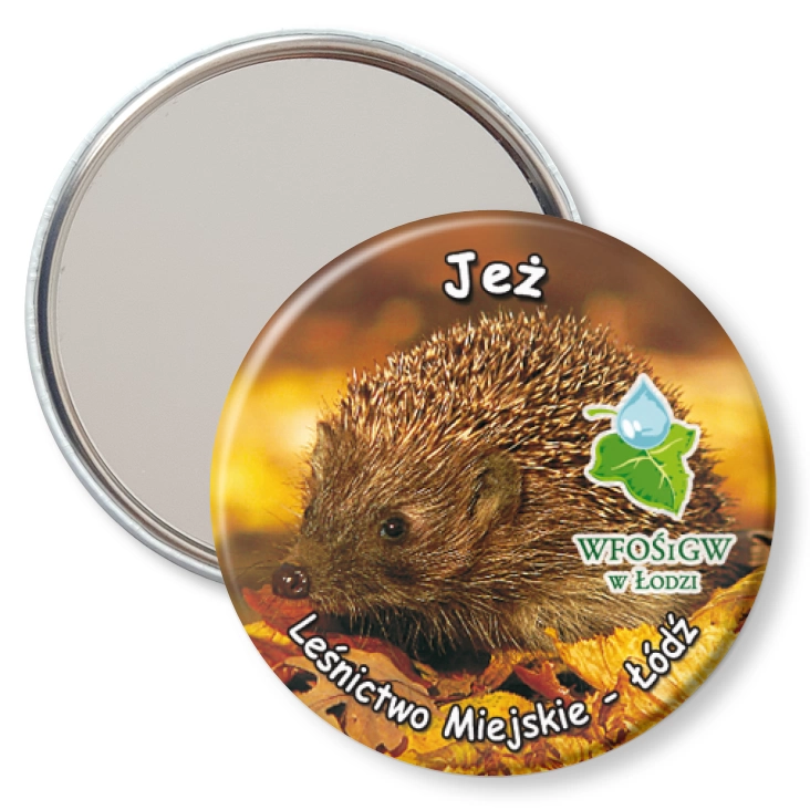 przypinka lusterko Jeż
