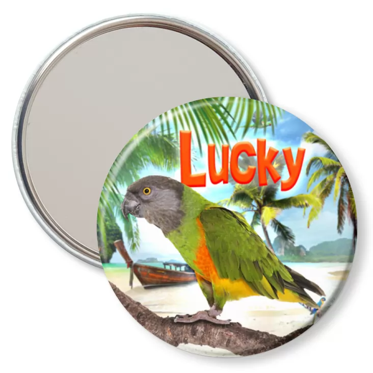 przypinka lusterko Papugarnia Carmen - Lucky