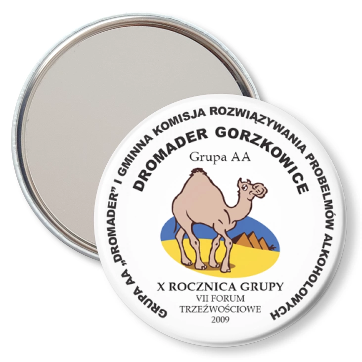przypinka lusterko Grupa AA DROMADER