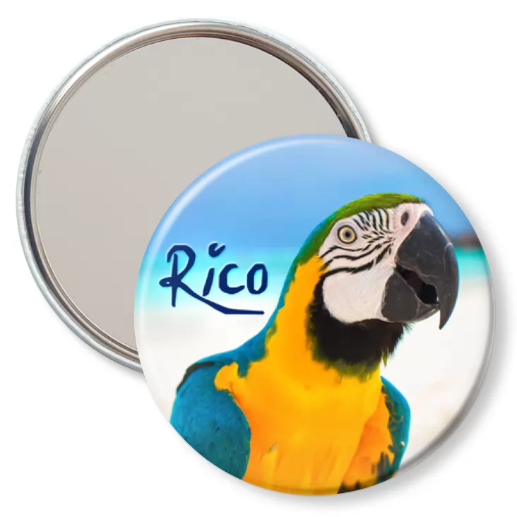 przypinka lusterko Papugarnia Carmen - Rico