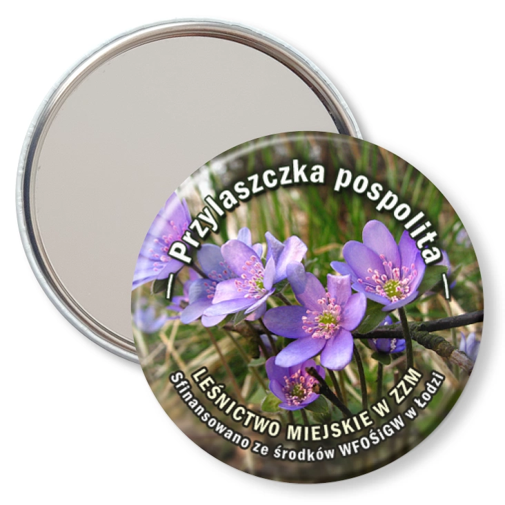 przypinka lusterko Przylaszczka pospolita
