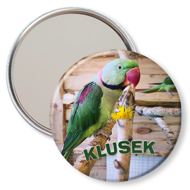 przypinka lusterko Klusek
