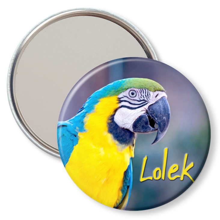 przypinka lusterko Papugarnia Carmen - LOLEK