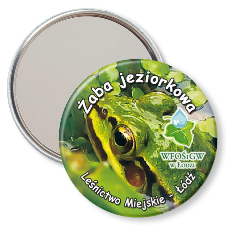 przypinka lusterko Żaba jeziorkowa